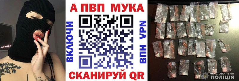 A PVP СК КРИС Каргополь