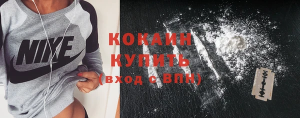 стаф Майский