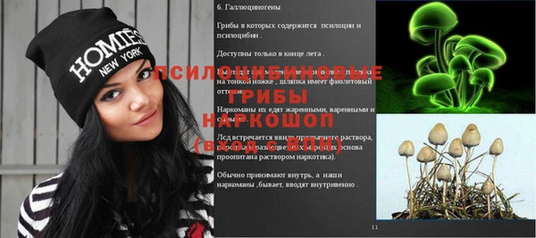 стаф Майский
