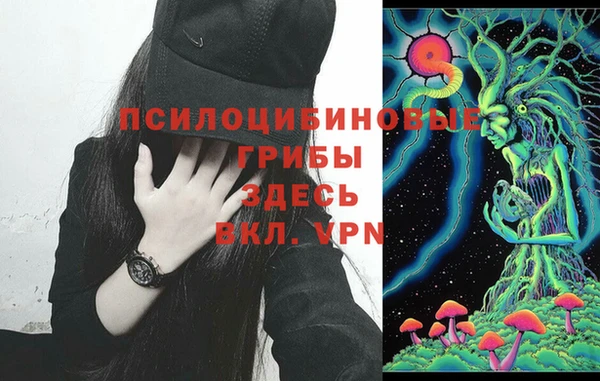 стаф Майский