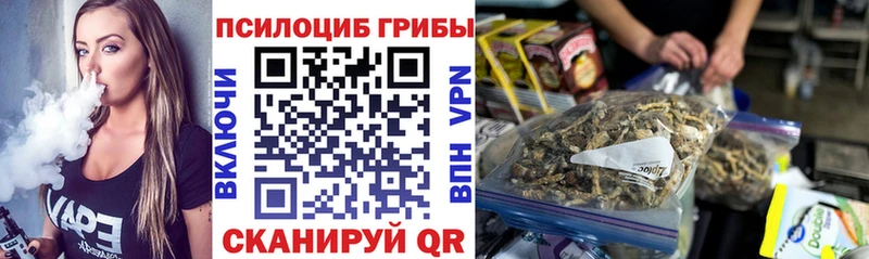 Купить закладки Каргополь Галлюциногенные грибы мухоморы